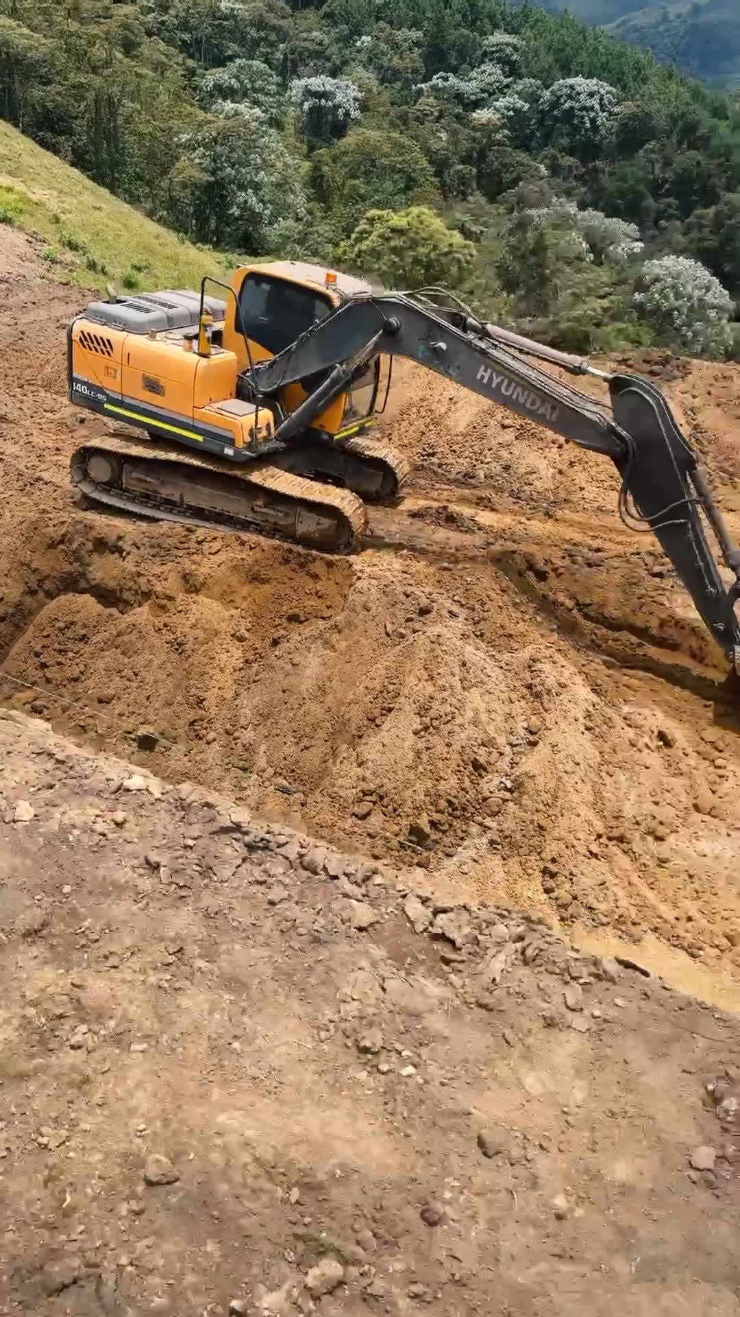 Planta cubierta de clasificación y ensacado